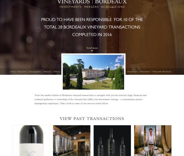 Vineyards-Bordeaux